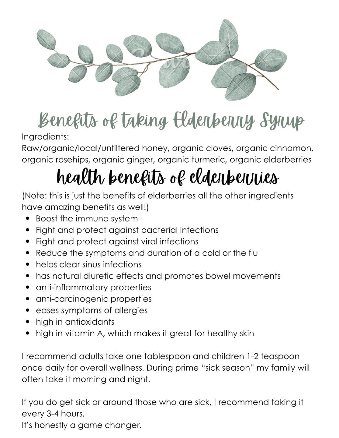 Elderberry Brewing Kit